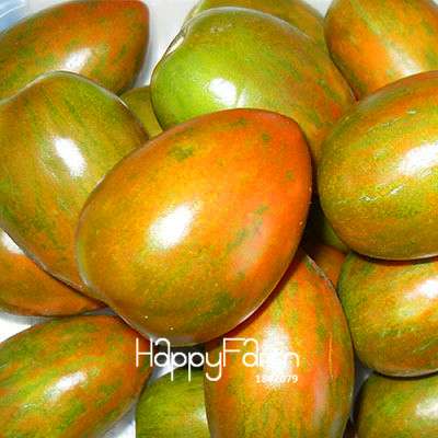 Organic Yellow Tomato Seeds for Planting - Sweet Home Garden Balcony, Non-GMO, Easy Grow