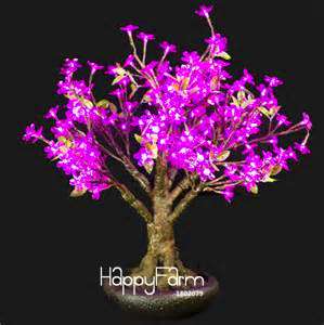 Rare Purple Maple Bonsai Seeds for Home & Garden - Exotic Decorative Plants