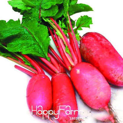 Organic Non-GMO Red Radish Seeds - Premium Vegetable & Fruit Garden Seeds for Home Planting