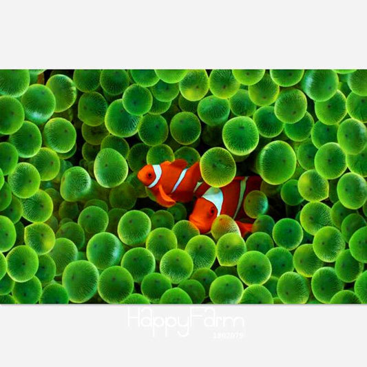 Aquarium Grass Seeds Mix - 15 Types Water Aquatic Plants for Hydroponics & Fish Tanks