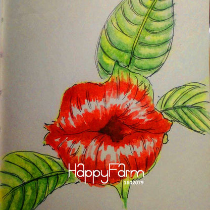 Rare Red Lips Flower Seeds (Psychotria Elata) - Exotic Blooming Houseplant for Pots
