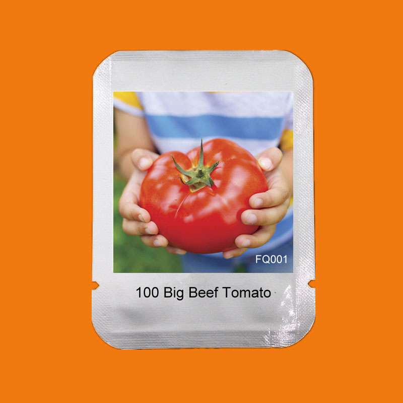 Big Beef Hybrid Tomato Seeds - Jumbo, Meaty & Tasty | Premium Garden Variety