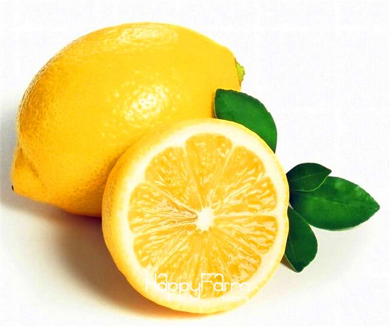 Kaffir Lime Seeds - 95% Sprout Rate, Potted Balcony Planting, All Seasons - High-Quality Lemon Seeds