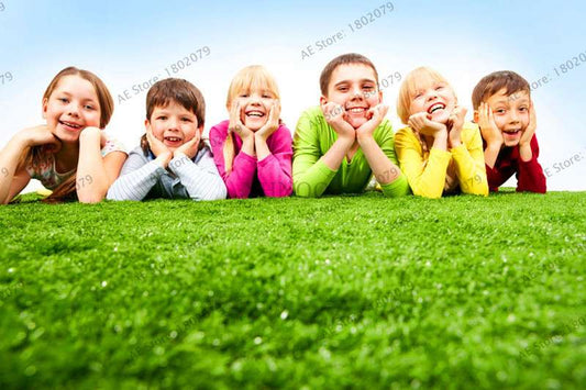 2025 Mixed Color Lawn Grass Seeds - Bag for Home & Garden | Fast-Growing, Vibrant Blends
