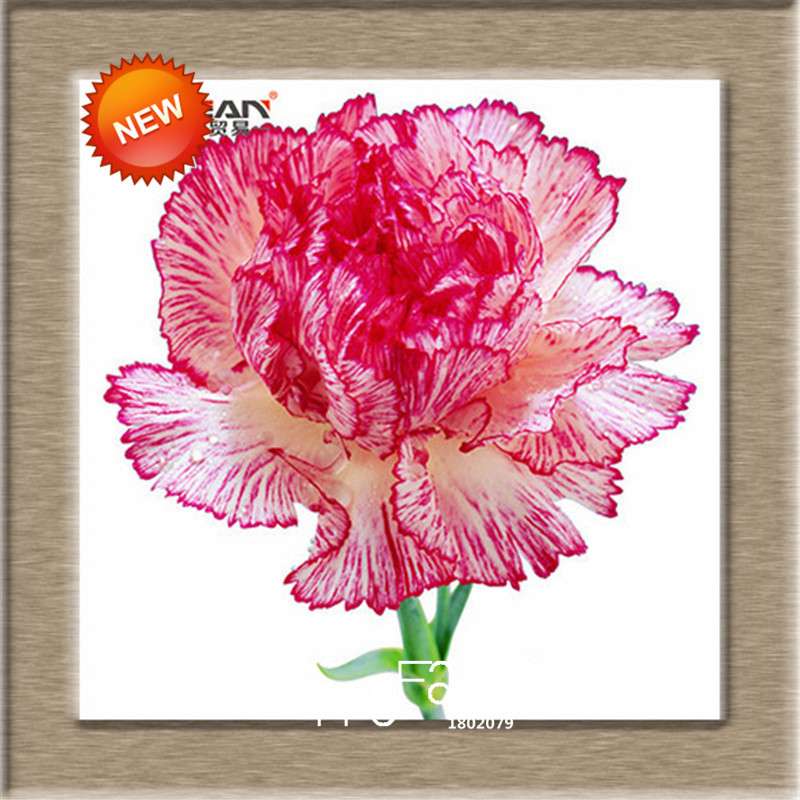 16 Colors Dianthus Caryophyllus Flower Seeds, Balcony Potted Garden Plants, Carnation Seeds for Home & Courtyard