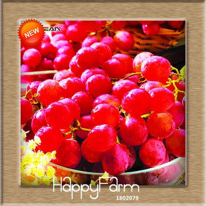 Grape Seeds - 12 Varieties, Sweet Kyoho, Natural Growth for Home Gardening | Premium Fruit Seeds