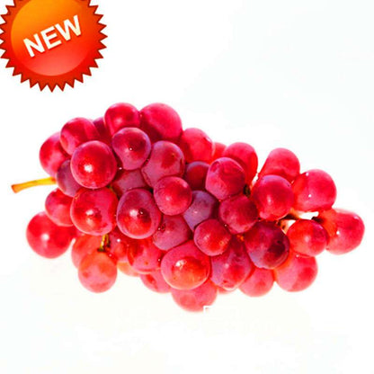 Rose Red Grape Seeds - Natural, Delicious Fruit Plants for Home Gardening