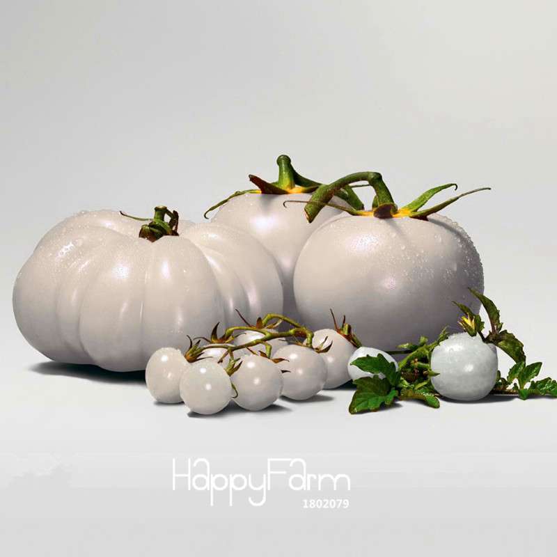Organic Super White Tomato Seeds - Rare Heirloom, Great Taste - Small to Large Sizes