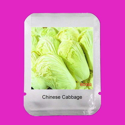 Easy-Grow Chinese Cabbage Seeds | Nutritious Brassica Pekinensis | Fast-Growing Vegetable Seeds