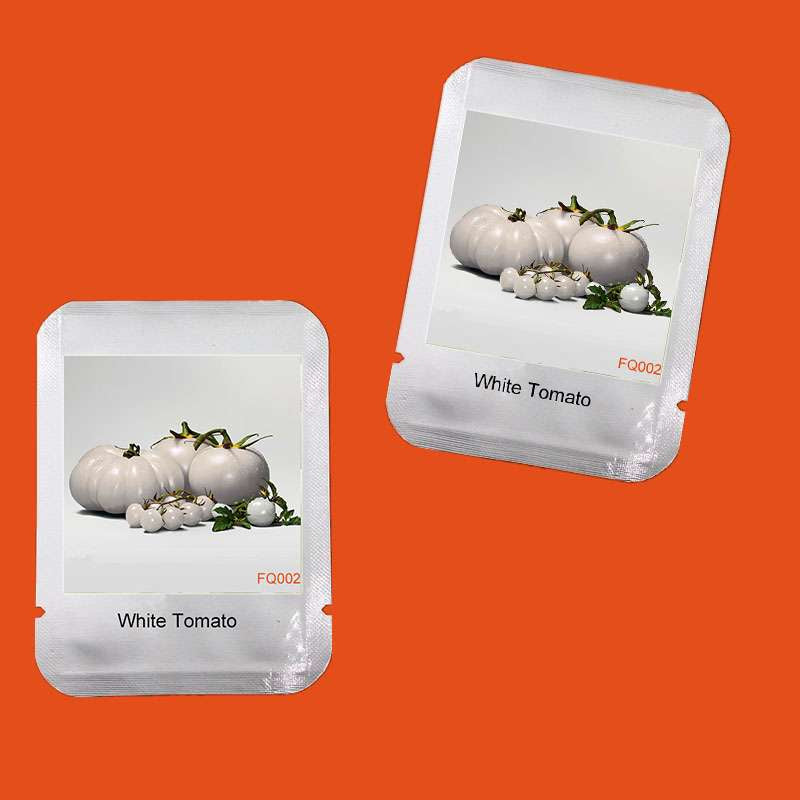 Rare White Tomato Seeds - Heirloom, Nutritious & Delicious, for Home Garden - Non-GMO, Easy to Grow