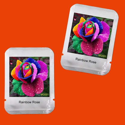 Rare Holland Rainbow Rose Seeds - Colorful Flower Seeds for Home Garden - Professional Pack