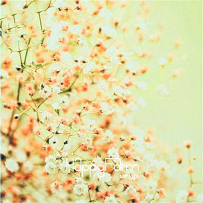 Starry Flower Seeds - Easy-Grow Indoor Potted Plants for Spring & Winter | Fast Shipping