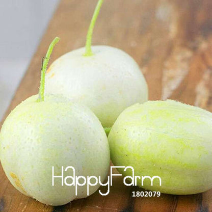 Crystal Apple Cucumber Seeds - Fresh, Crunchy & Sweet for Home Garden | Non-GMO, Easy Grow