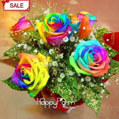 Rainbow Rose Seeds for Planting - DIY Colorful Garden Flowers, Grow Vibrant Roses at Home!
