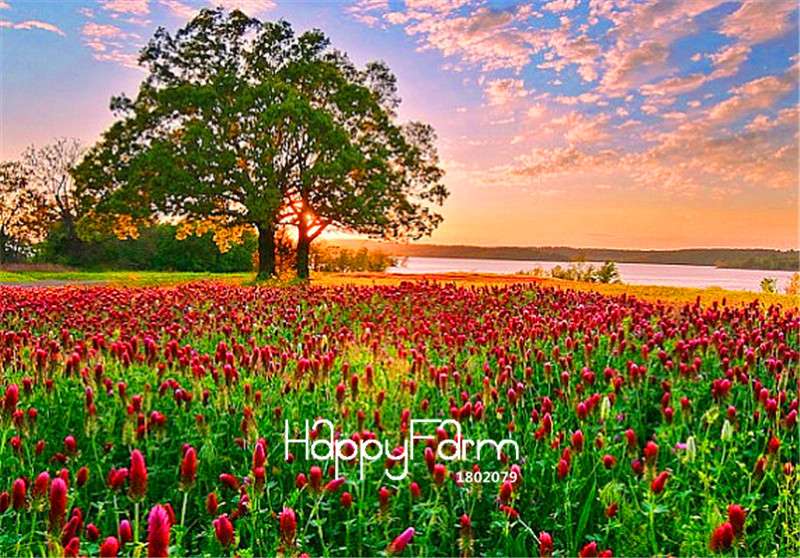 Crimson Clover Seeds - Fast-Growing, Vibrant Flowers for Garden & Pots | Free Shipping