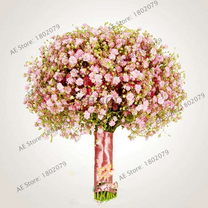 Gypsophila Paniculata Seeds - Vibrant Multi-Color Baby's Breath for Home & Garden | Fast Shipping