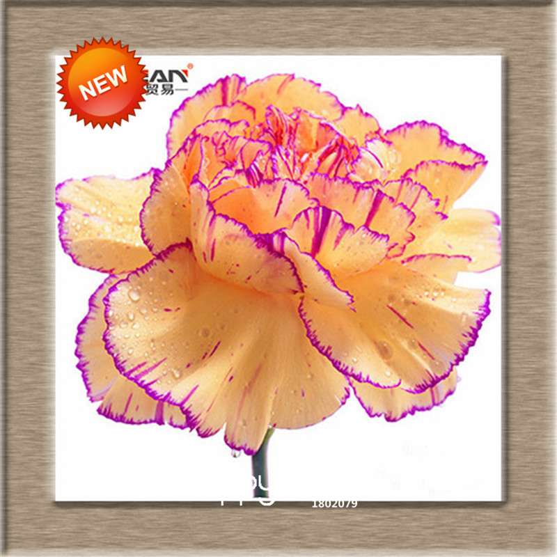 16 Colors Dianthus Caryophyllus Flower Seeds, Balcony Potted Garden Plants, Carnation Seeds for Home & Courtyard