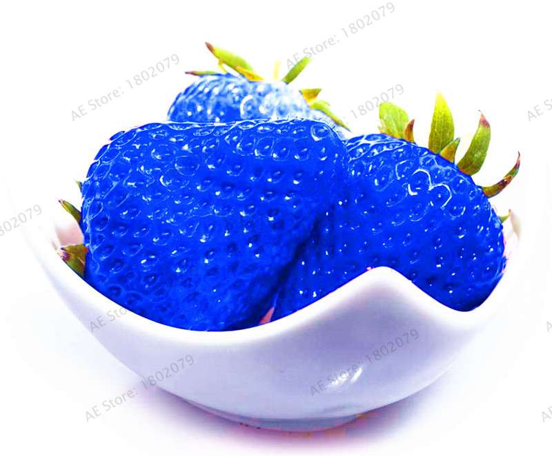 Hybrid Blue Giant Strawberry Seeds - Easy to Grow, Sweet Fruit for Home Garden & Bonsai | Professional Pack