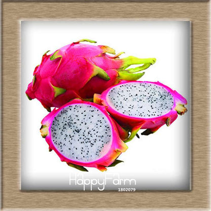 Non-GMO Dragon Fruit Seeds for Planting - Sweet Pitaya Bonsai Tree, - Fresh Hylocereus Fruit