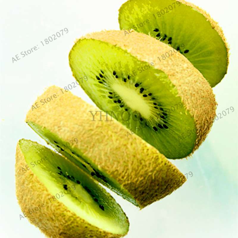 Mini Kiwi Seeds - Grow Delicious Fruit & Beautiful Bonsai Tree - Perfect for Home Gardening