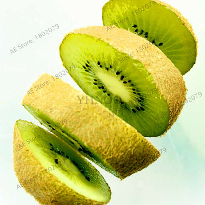 Mini Kiwi Seeds - Grow Delicious Fruit & Beautiful Bonsai Tree - Perfect for Home Gardening