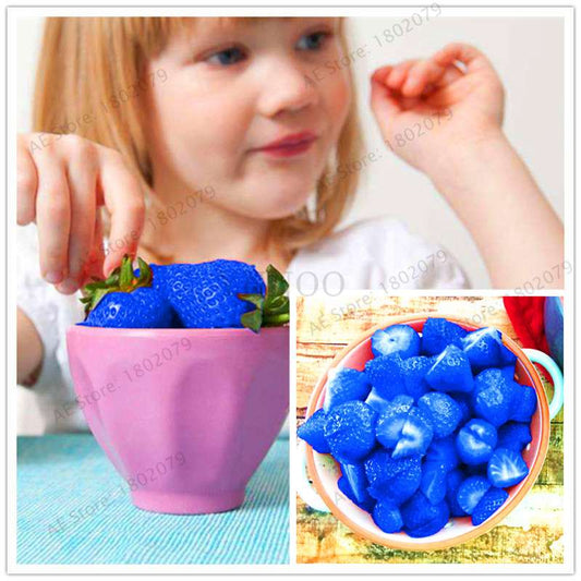 Hybrid Blue Giant Strawberry Seeds - Easy to Grow, Sweet Fruit for Home Garden & Bonsai | Professional Pack