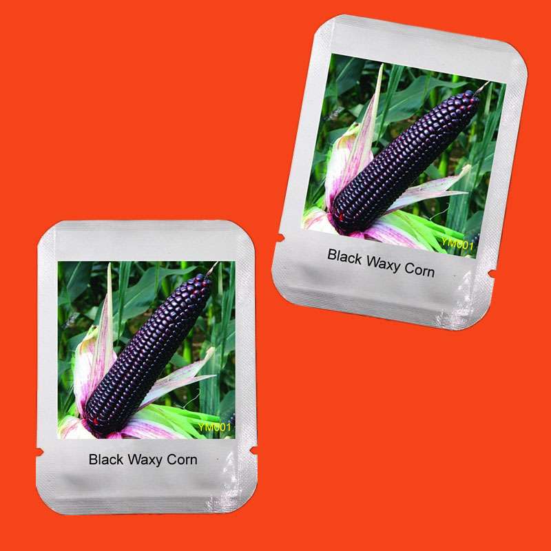 Organic Black Waxy Corn Seeds - Non-GMO Garden Vegetable Seeds for Home Planting, Healthy & Delicious
