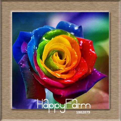 Colorful Rainbow Rose Seeds - 20 Varieties, for Bonsai & Flower Pots | Premium Planting Kit