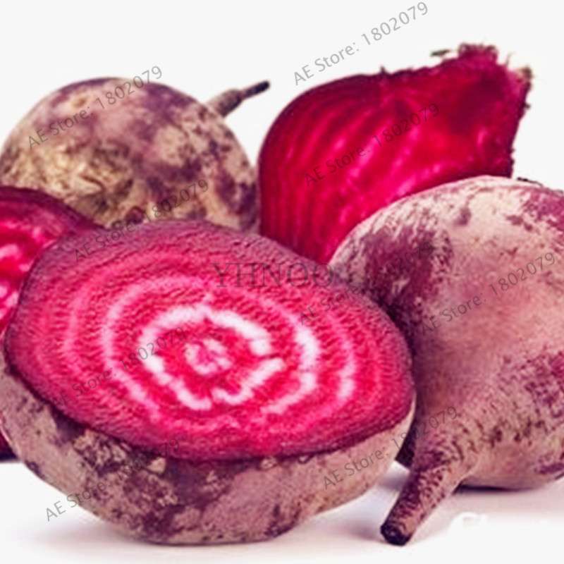 Beetroot Seeds - Non-GMO Heirloom, Bulk Beet Seeds for Home Garden, Bonsai & Planting | Fresh Beta Vulgaris