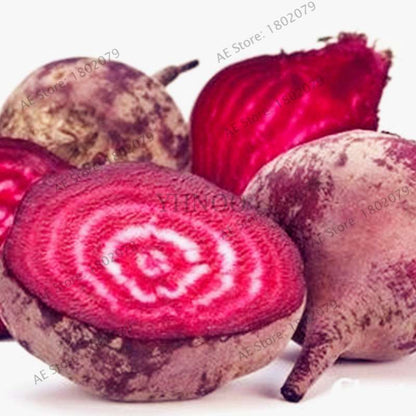Beetroot Seeds - Non-GMO Heirloom, Bulk Beet Seeds for Home Garden, Bonsai & Planting | Fresh Beta Vulgaris