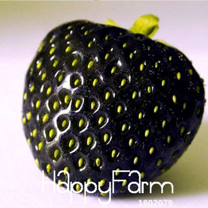 Japanese Hokowase Strawberry Seeds for Planting - Sweet Indoor/Outdoor Fruit Garden (Non-GMO, High Yield)