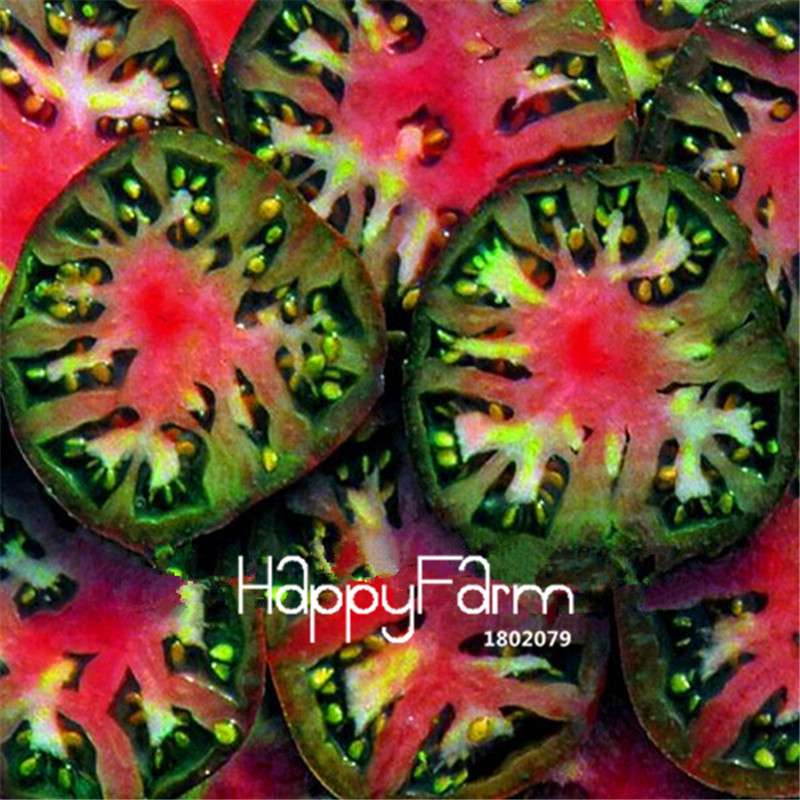 Rainbow Tomato Seeds - Organic Bonsai Veggie & Fruit Seeds for Home Garden, Non-GMO, Easy Grow