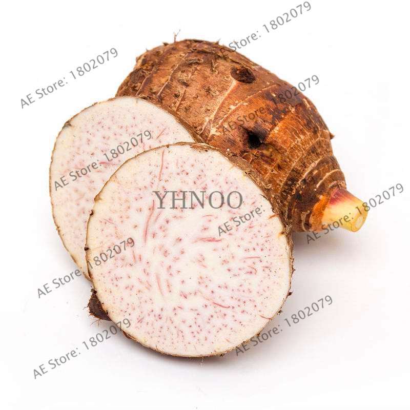 Taro Seeds - Nutrient-Rich, Easy to Grow for Delicious Home-Grown Vegetables