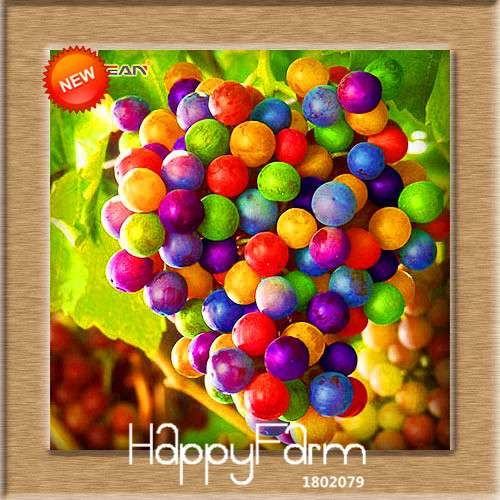 Grape Seeds - 12 Varieties, Sweet Kyoho, Natural Growth for Home Gardening | Premium Fruit Seeds