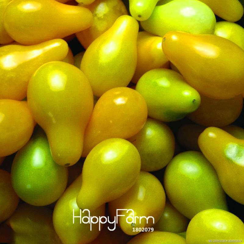 Yellow Cherry Tomato Seeds - Sweet Balcony Fruits, Potted Bonsai Plant, Home Gardening
