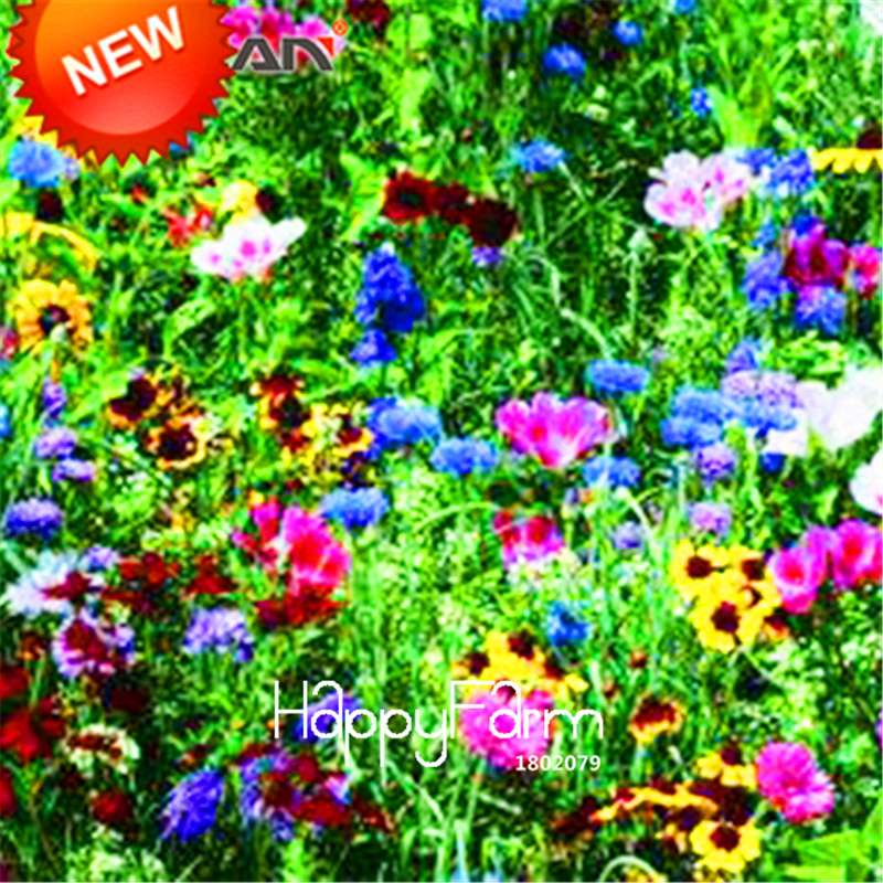 Mixed Wildflower Seeds - Perennial, Aromatic & Fragrant Flowers for Planting