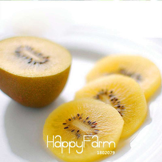 Organic Yellow Heart Kiwi Seeds - Sweet Fruit & Bonsai Tree, Non-GMO, Home Garden Planting