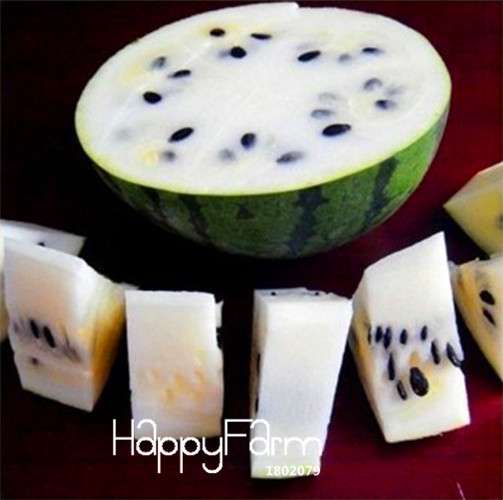 Rare Chinese Watermelon Seeds - Sweet Fruit Bonsai Plants, for Home Gardening