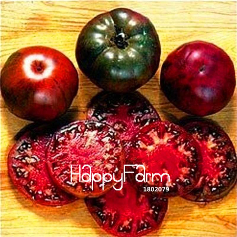 Rainbow Tomato Seeds - Organic Bonsai Veggie & Fruit Seeds for Home Garden, Non-GMO, Easy Grow