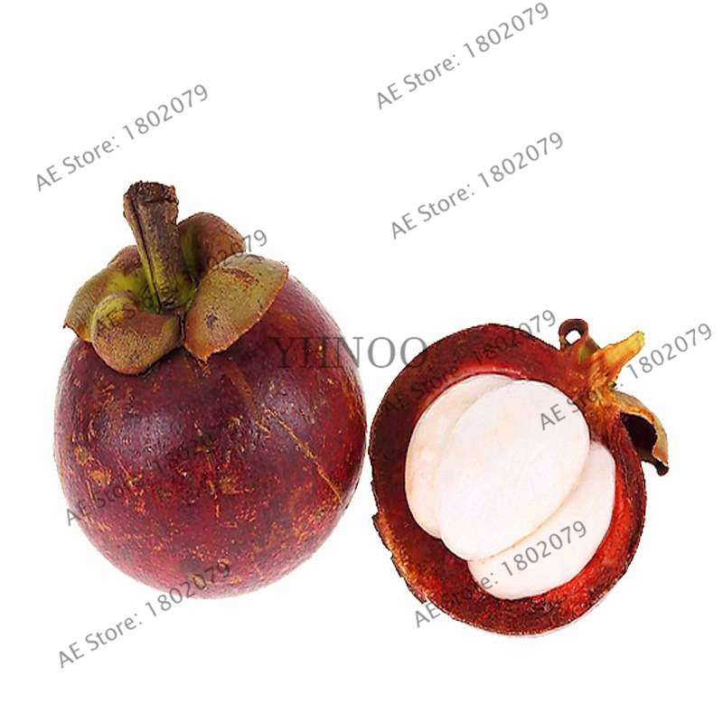 Red Mangosteen Seeds - Tropical Fruit Bonsai, Natural Anticancer Queen, Easy Grow