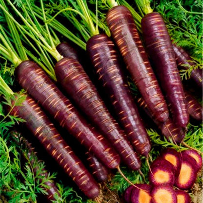 Organic Carrot Seeds - Easy to Grow, Nutrient-Rich Veggies for Home Garden Planting (Healthy, Non-GMO)