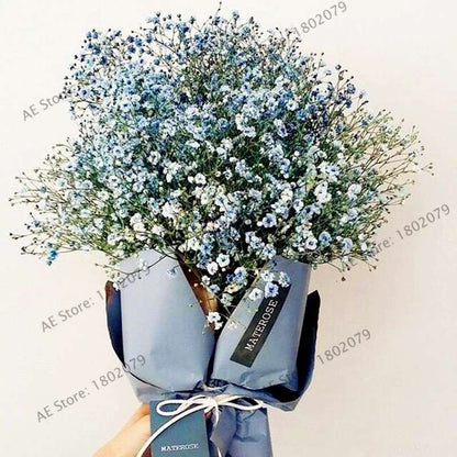 Gypsophila Paniculata Seeds - Vibrant Multi-Color Baby's Breath for Home & Garden | Fast Shipping