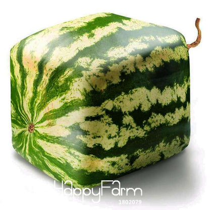 Rare Square Watermelon Seeds - Unique Geometric Shape, Sweet & Delicious Chinese Fruit for Home Garden