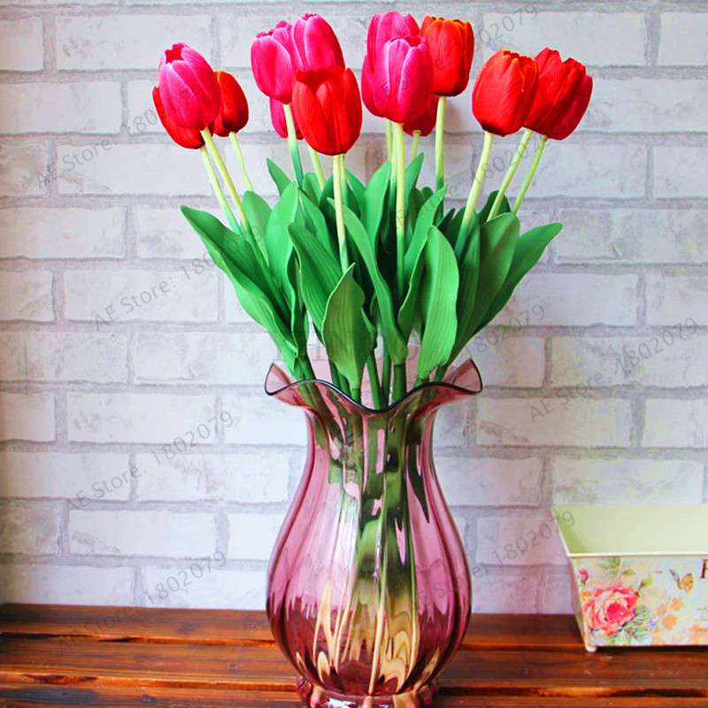 Rare Tulip Seeds - Beautiful Perennial Bonsai Flowers for Home & Garden Planting