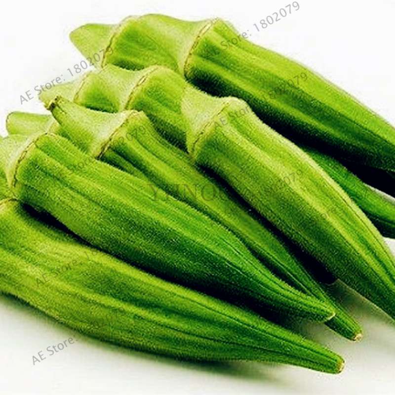 Organic Non-GMO Okra Seeds for Kidney Health - Fun Countryside Garden Supplies