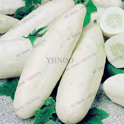 Organic Japanese Mini Cucumber Seeds - Fresh, Non-GMO for Home Garden & Bonsai Planting
