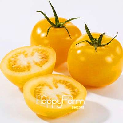 Organic Chocolate Black Tomato Seeds - for Home Garden, Non-GMO Heirloom Vegetable Seeds