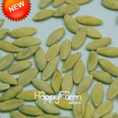 Dutch Cucumber Seeds - for Fresh, Homegrown Vegetables | Non-GMO, High Yield