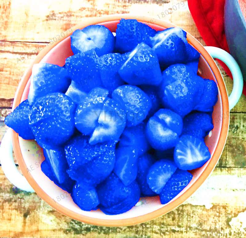 Hybrid Blue Giant Strawberry Seeds - Easy to Grow, Sweet Fruit for Home Garden & Bonsai | Professional Pack