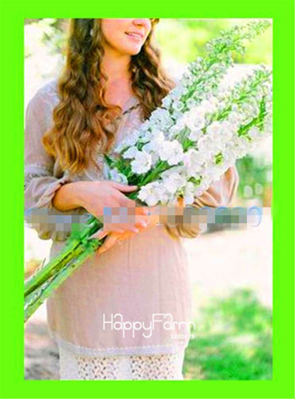 Rocket Larkspur Seeds - Easy-Grow Delphinium Flowers for Home Garden & DIY Potted Bonsai